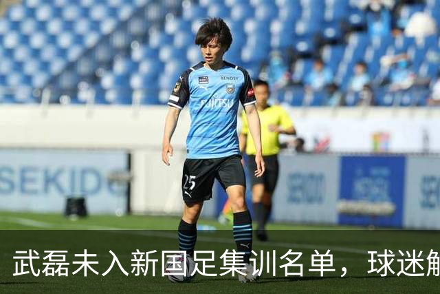 武磊未入新国足集训名单，球迷解析背后原因，引发热议